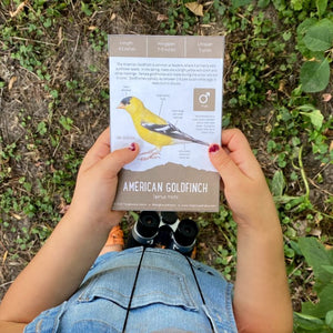Birding with Kids +  Resources!