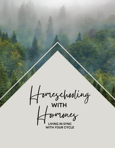 A Gift Guide for Homeschool Moms, Part 2 – Little House Learning Co.