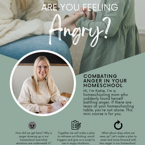 Combating Anger in Your Homeschool Mini Course